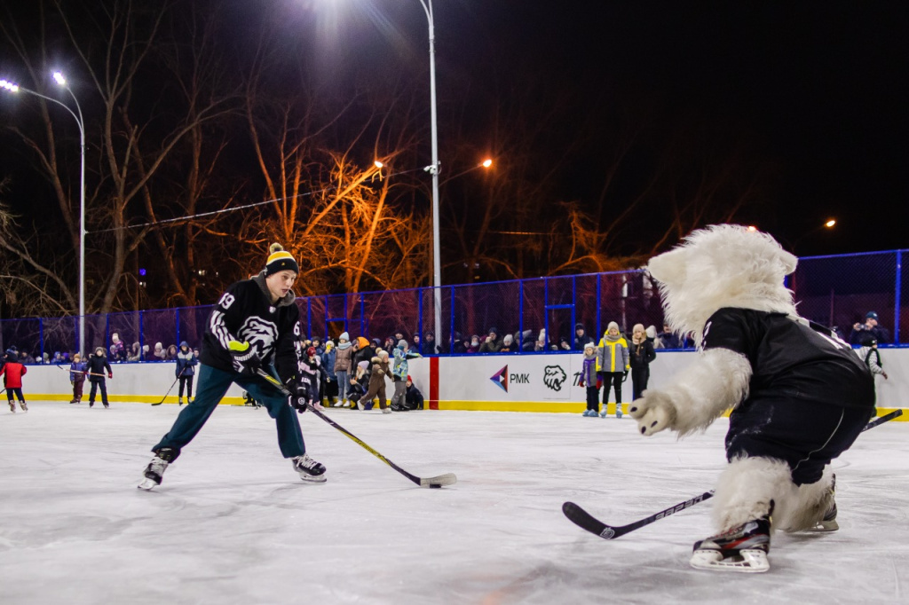 корт медведь.jpg